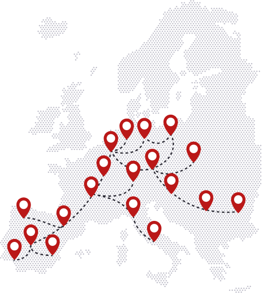 Transport całopojazdowy FTL na terenie całej Europy, w szczególności realizacja dostaw do Szwajcarii.